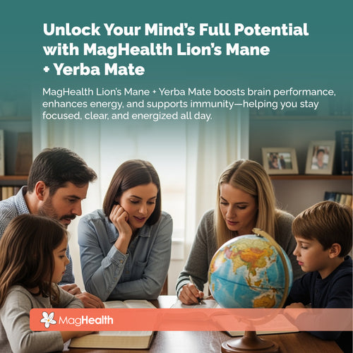 MagHealth Lion's Mane & Yerba Mate Capsules 4-in-1 Nootropic Supplement